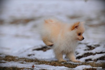 Feb13_10_110.jpg