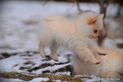Feb13_10_111.jpg
