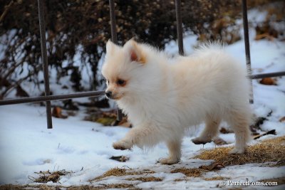 Feb13_10_117.jpg
