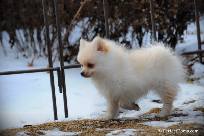 Feb13_10_118.jpg