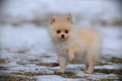 Feb13_10_126.jpg