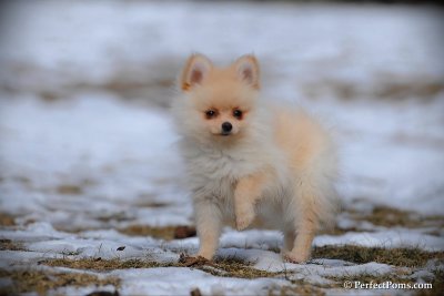 Feb13_10_127.jpg
