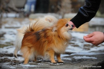 Feb13_10_128.jpg