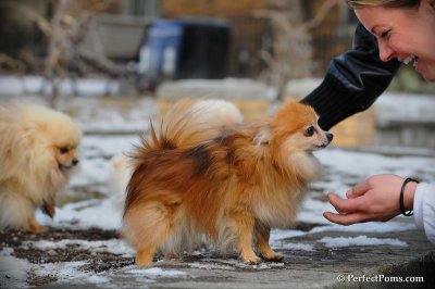 Feb13_10_129.JPG