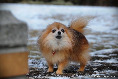Feb13_10_135.jpg