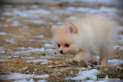 Feb13_10_137.jpg