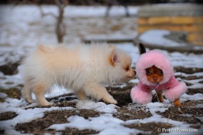 Feb13_10_144.JPG