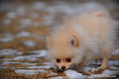Feb13_10_005.jpg