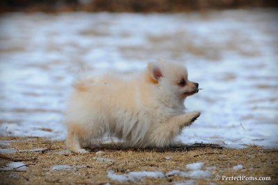 Feb13_10_167.jpg