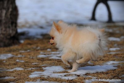 Feb13_10_013.jpg