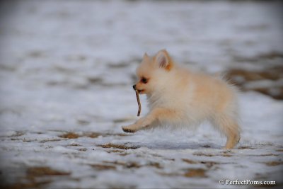 Feb13_10_017.jpg