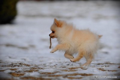 Feb13_10_020.jpg