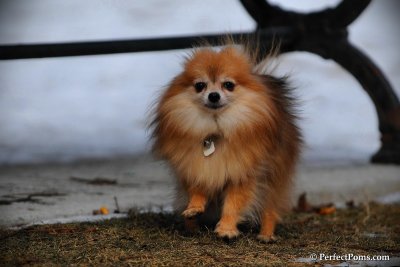Feb13_10_029.jpg