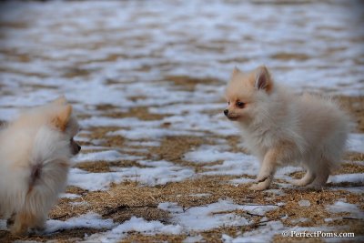 Feb13_10_056.jpg