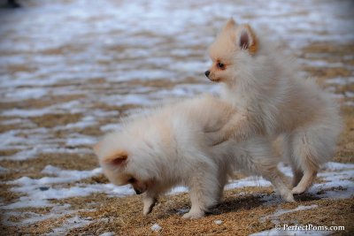 Feb13_10_059.jpg