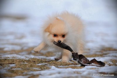 Feb13_10_076.jpg