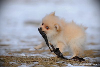 Feb13_10_077.jpg