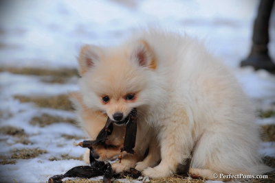 Feb13_10_079.jpg