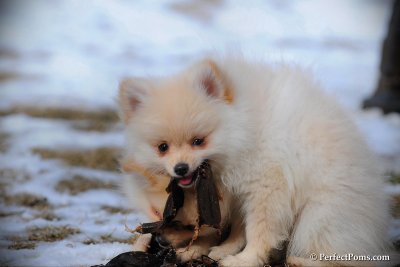 Feb13_10_080.jpg