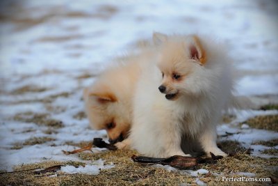 Feb13_10_083.jpg