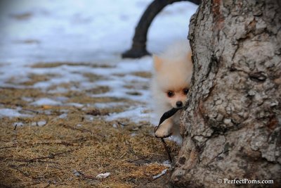 Feb13_10_087.jpg