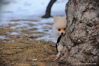 Feb13_10_088.jpg