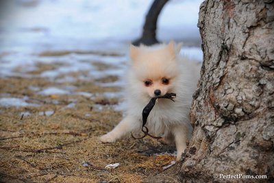 Feb13_10_089.jpg