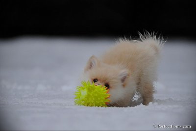 Feb17_10_200.jpg