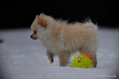 Feb17_10_202.jpg