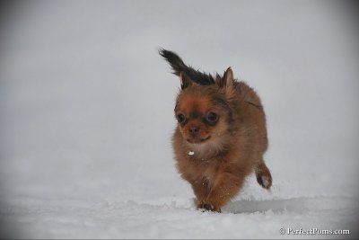 Feb17_10_205.jpg