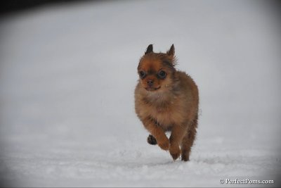 Feb17_10_206.jpg