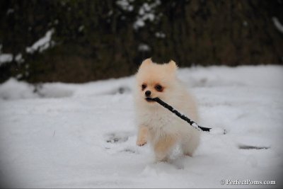 Feb17_10_208.jpg