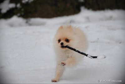 Feb17_10_209.jpg