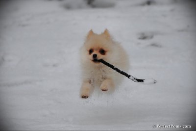Feb17_10_210.jpg