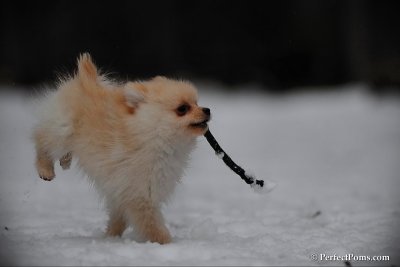 Feb17_10_212.jpg