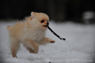 Feb17_10_213.jpg