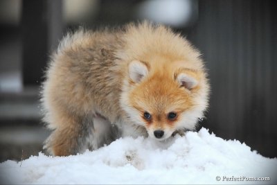 Feb17_10_216.jpg