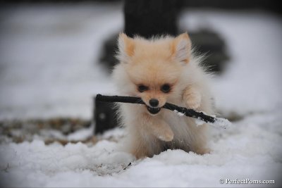 Feb17_10_220.jpg