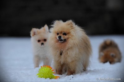 Feb17_10_221.jpg