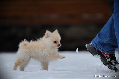 Feb17_10_226.jpg