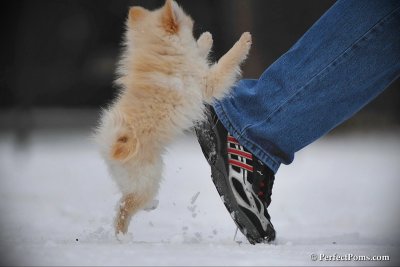 Feb17_10_231.jpg