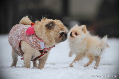 Feb17_10_247.jpg