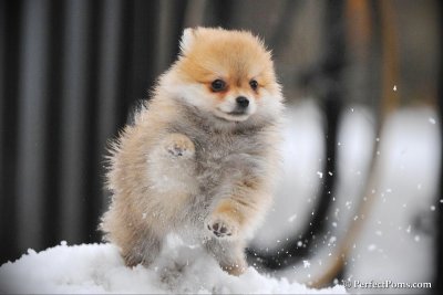 Feb17_10_111.jpg