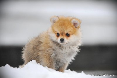 Feb17_10_112.jpg