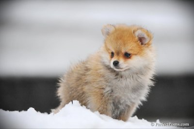 Feb17_10_114.jpg