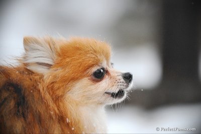 Feb17_10_121.JPG