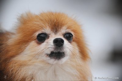 Feb17_10_122.JPG
