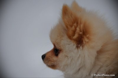 Feb17_10_124.JPG