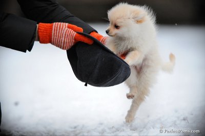 Feb17_10_126.JPG