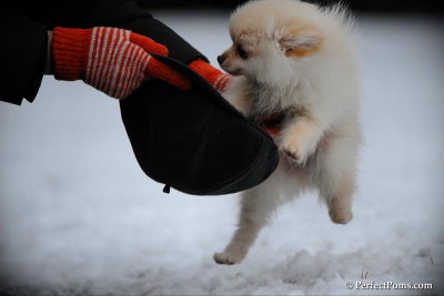 Feb17_10_127.jpg